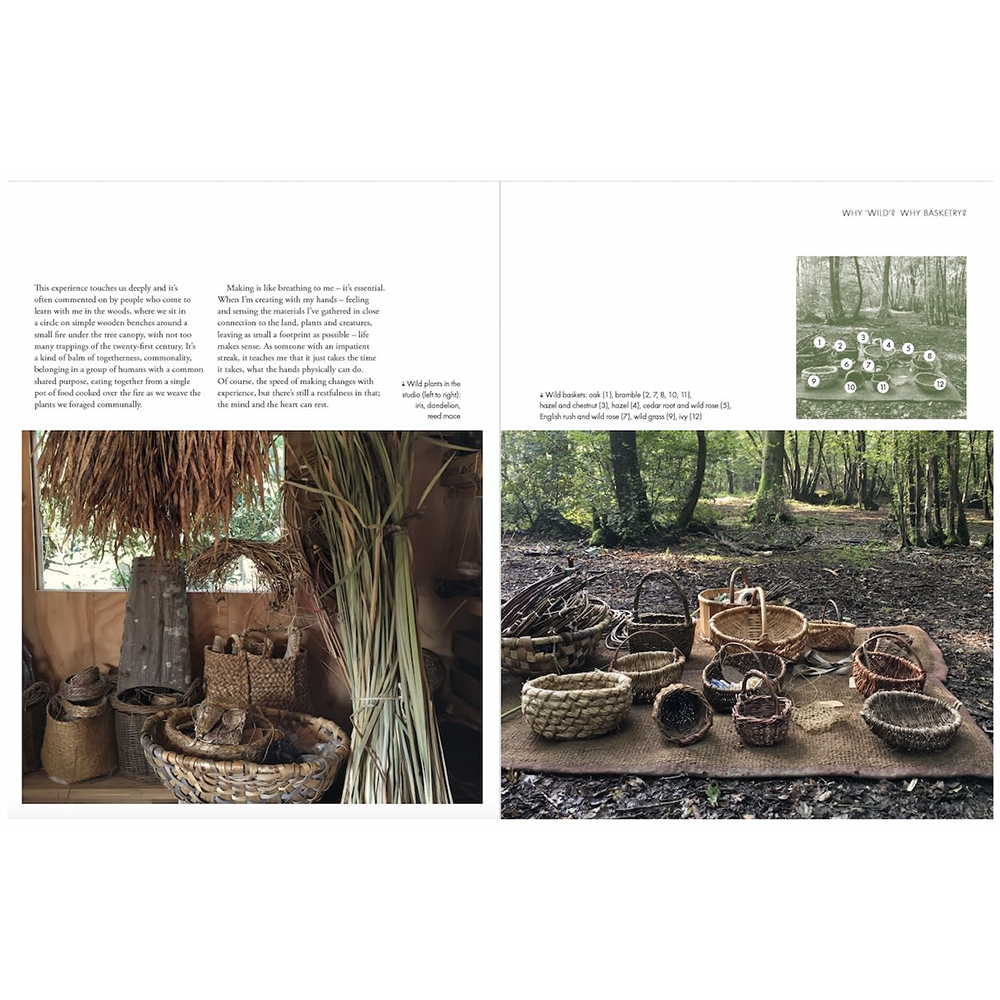 Wild Basketry: Making baskets and natural cordage from foraged plants, Ruby Taylor