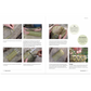 Wild Basketry: Making baskets and natural cordage from foraged plants, Ruby Taylor