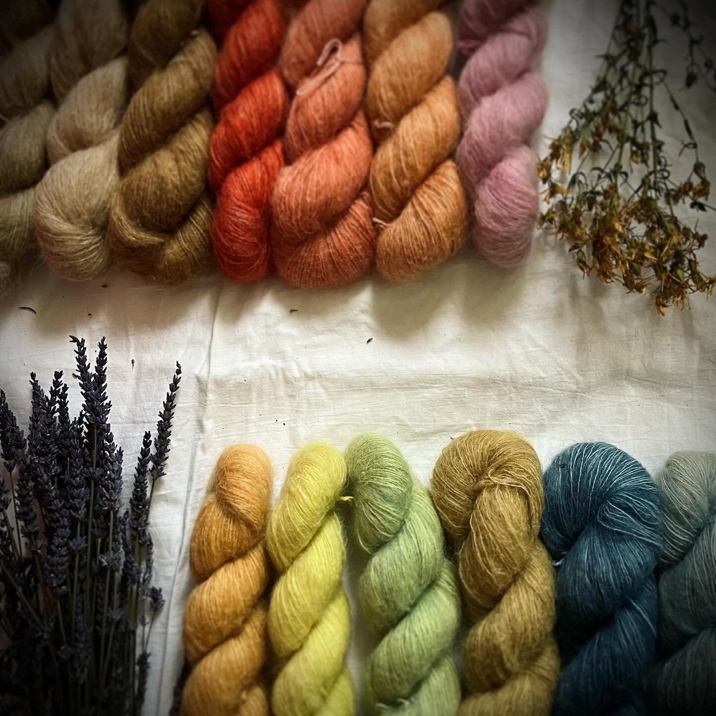 Zuzana Hrabcakova - Trava & Wool