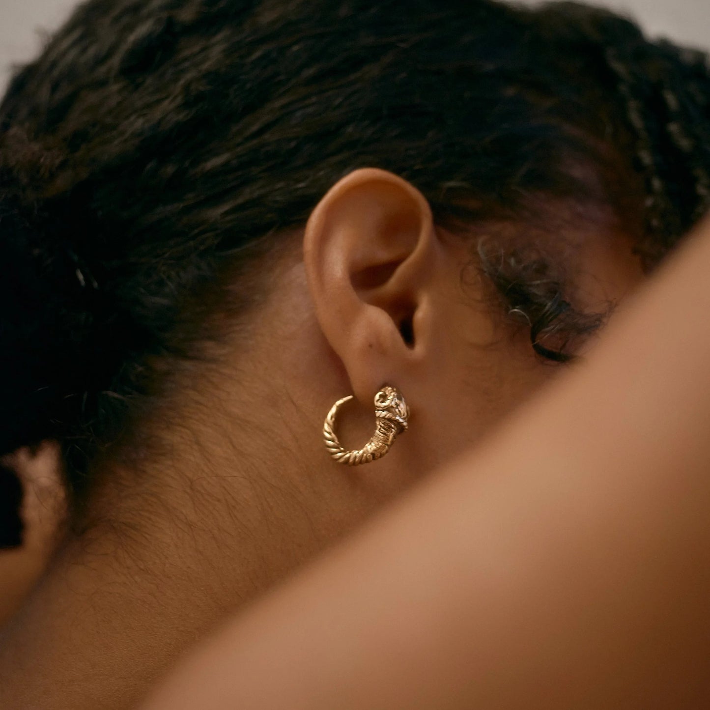 Roo Bannister - Musée Roo