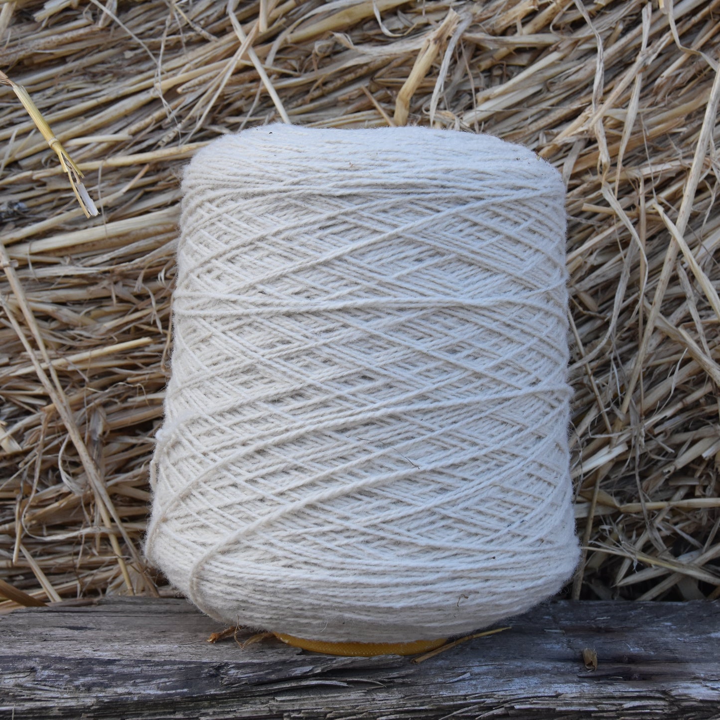 Lindsay Girvan - Future Vintage