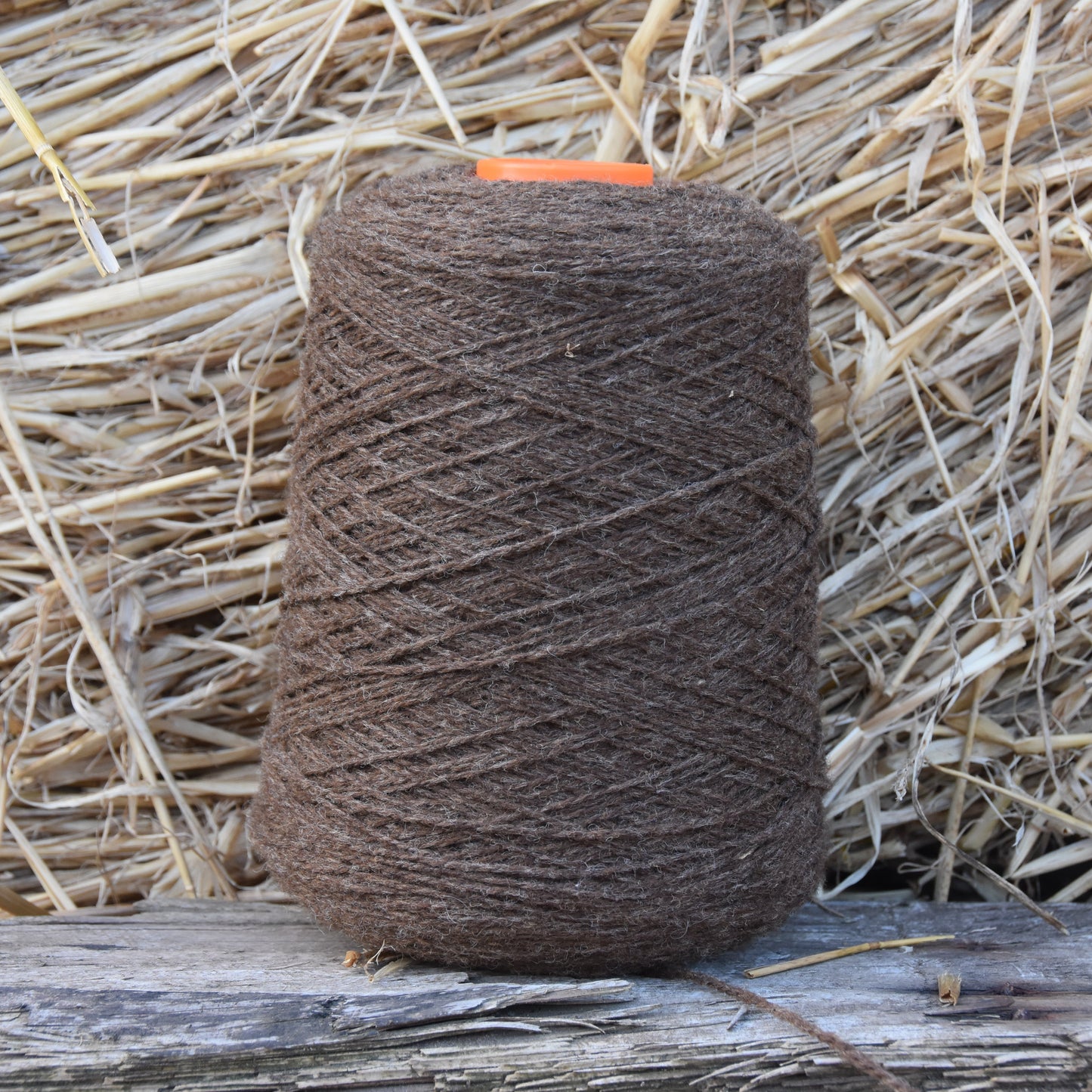 Lindsay Girvan - Future Vintage