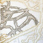 Monday 1-12 September, 1-4 p.m.: Exhibition: Drawing into Threads: Embroidery as Encounter