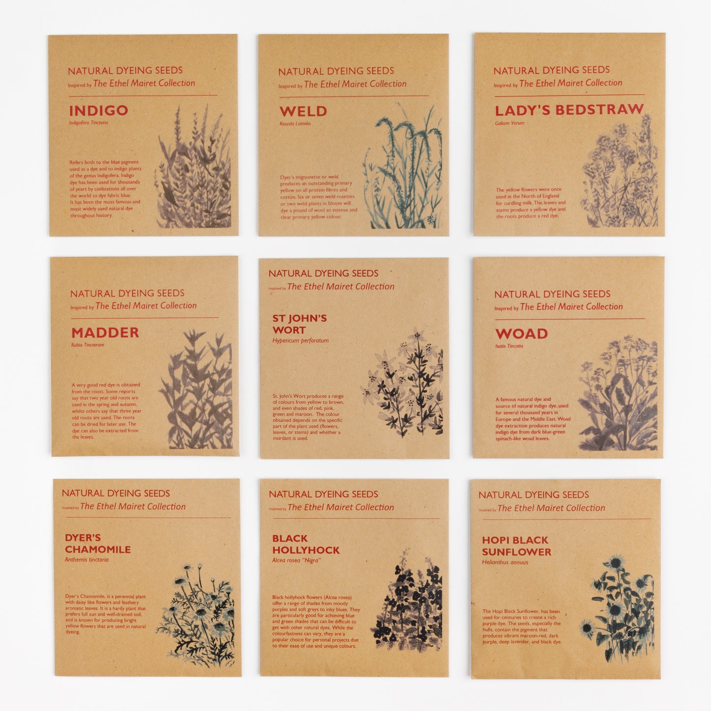 Jenny Ogilvie - Ditchling Museum of Art + Craft