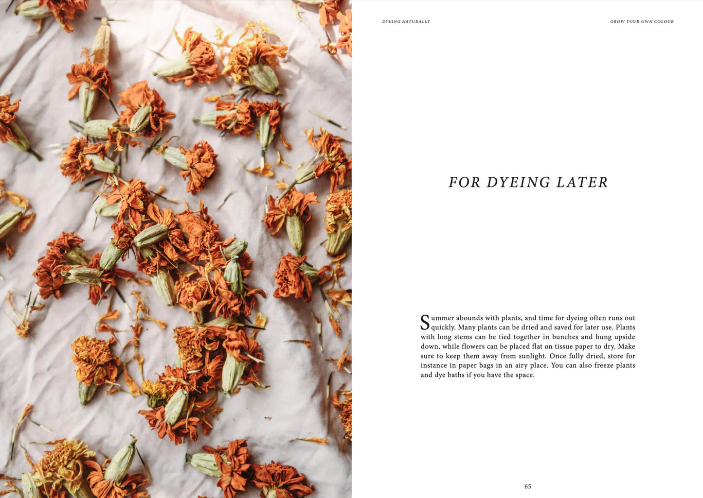 Dyeing Naturally, Emma Kylmälä