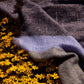 South Africa, Frances VH Mohair, September Spring Blanket (EU)