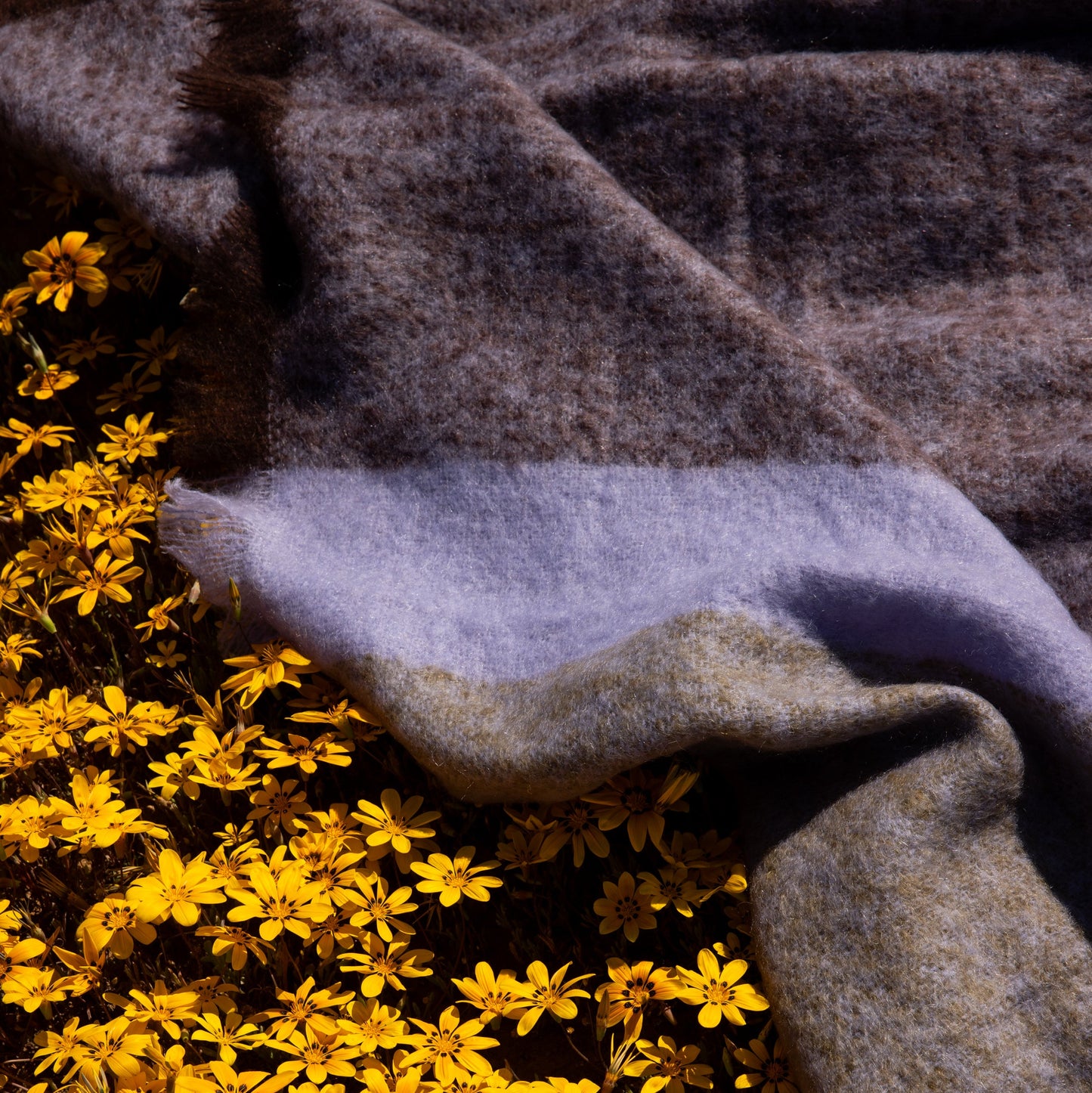 South Africa, Frances VH Mohair, September Spring Blanket (EU)