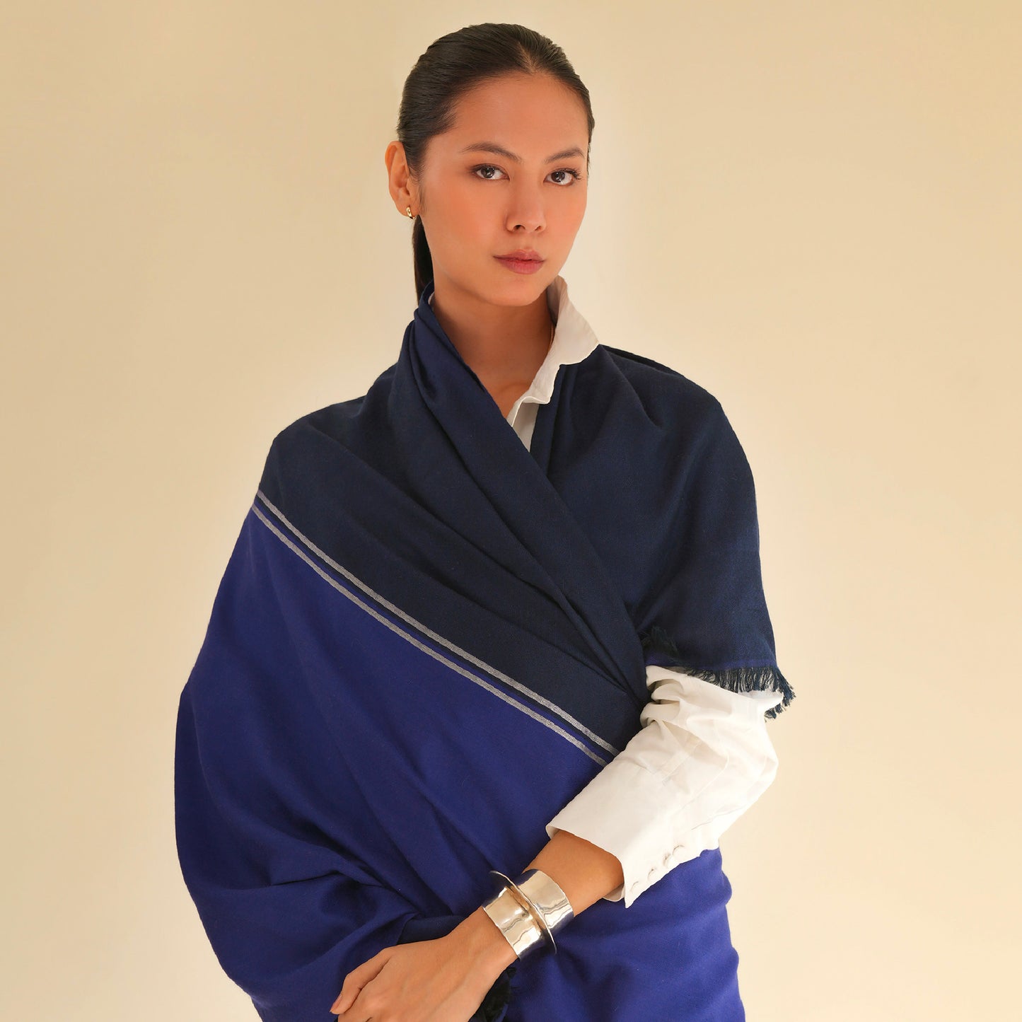 India, Kashmir Loom, Fifty-Fifty Aubergine Pilot Silver Shawl