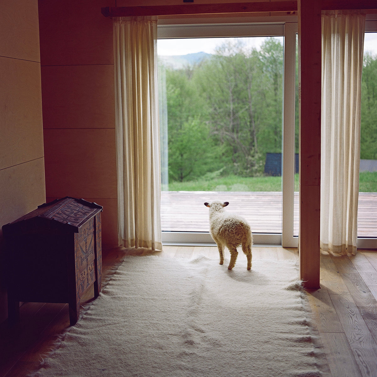 Ukraine, Gushka, Handwoven Wool Textiles
