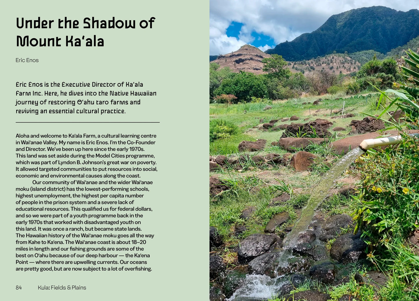 Mauka to Makai: Hawaiian Quilts and the Ecology of the Islands, Marenka Thompson‑Odlum
