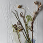 Saturday 5 & Sunday 6 September, 10-5 p.m.: Workshop, Material Conversations: Threads, Marks and Memories with Joanne Lamb, Hannah Refaat, and Kim Sutherland at Cockpit