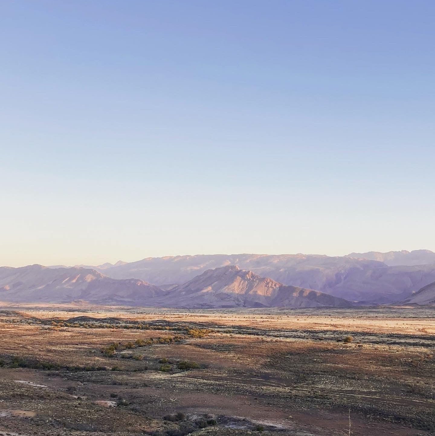 South Africa, Frances VH Mohair, Rug Weaving & Knitwear