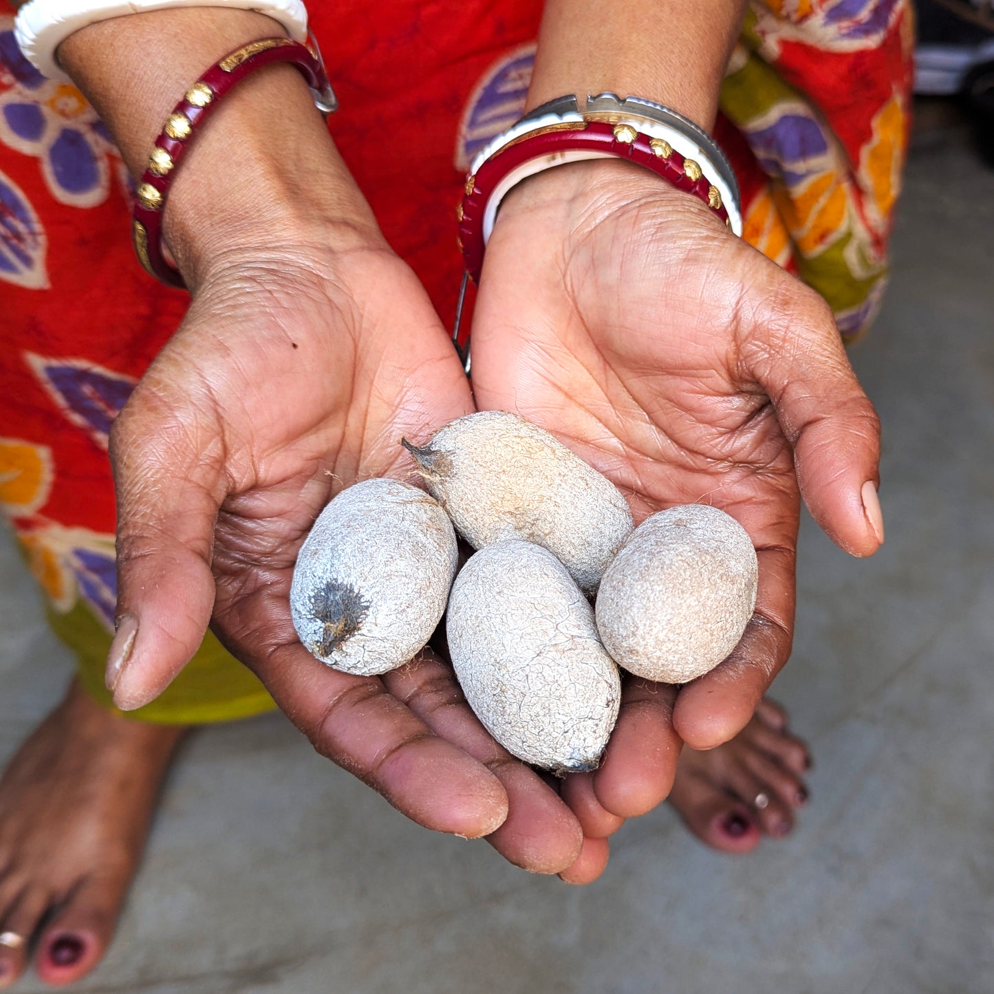 Friday 18 September, 10-5 p.m.: Exhibition and Talk, Wild Silk Ecology of Eastern India – The Story of Tasar