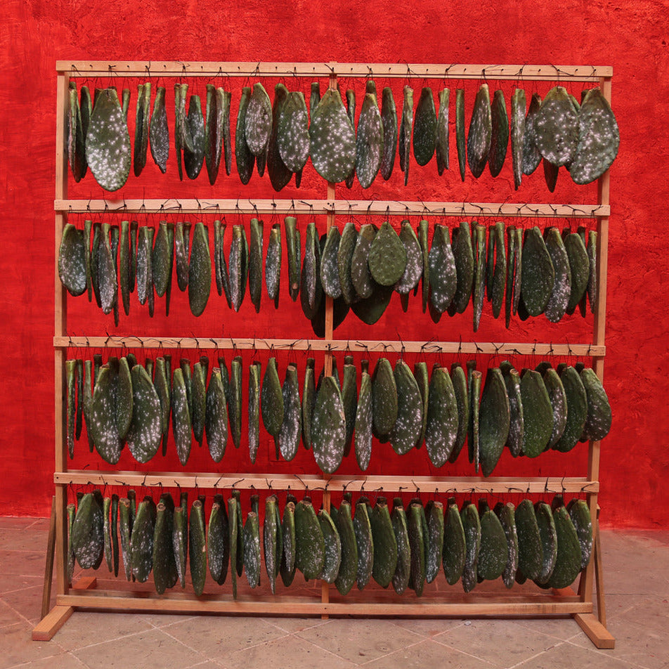 Issue 128 Routes (pre-order)