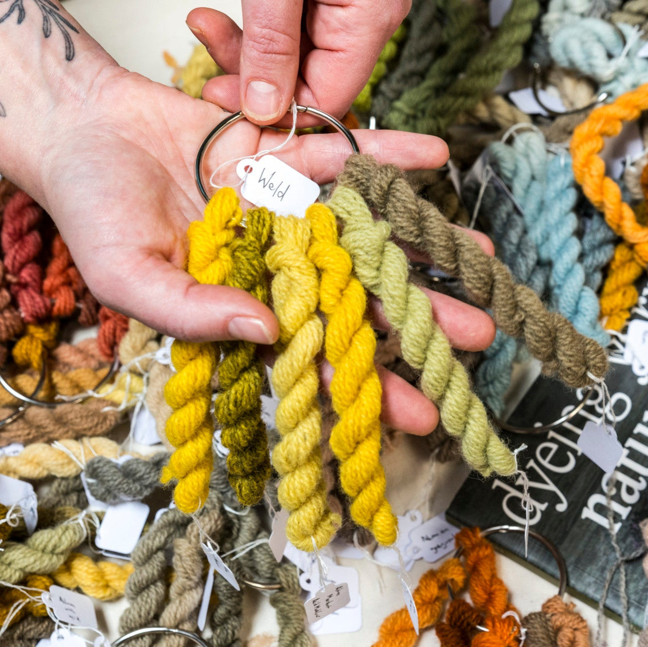 Ria Burns Knitwear and Natural Dyes