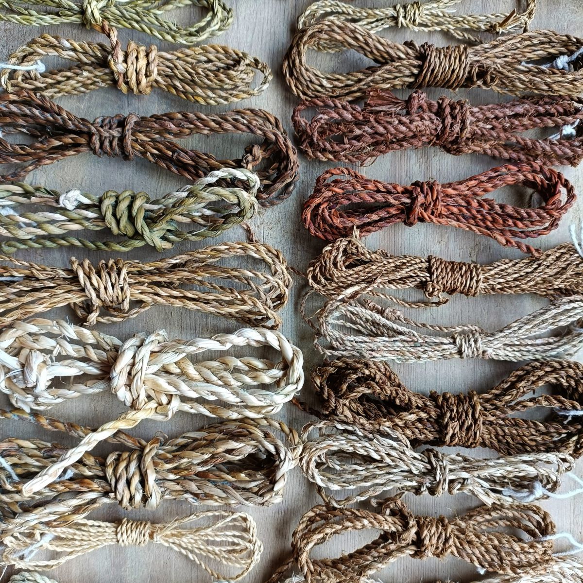 Saturday 1 & Sunday 2 March 2025, Wild Cordage with Ruby Taylor – Selvedge  Magazine