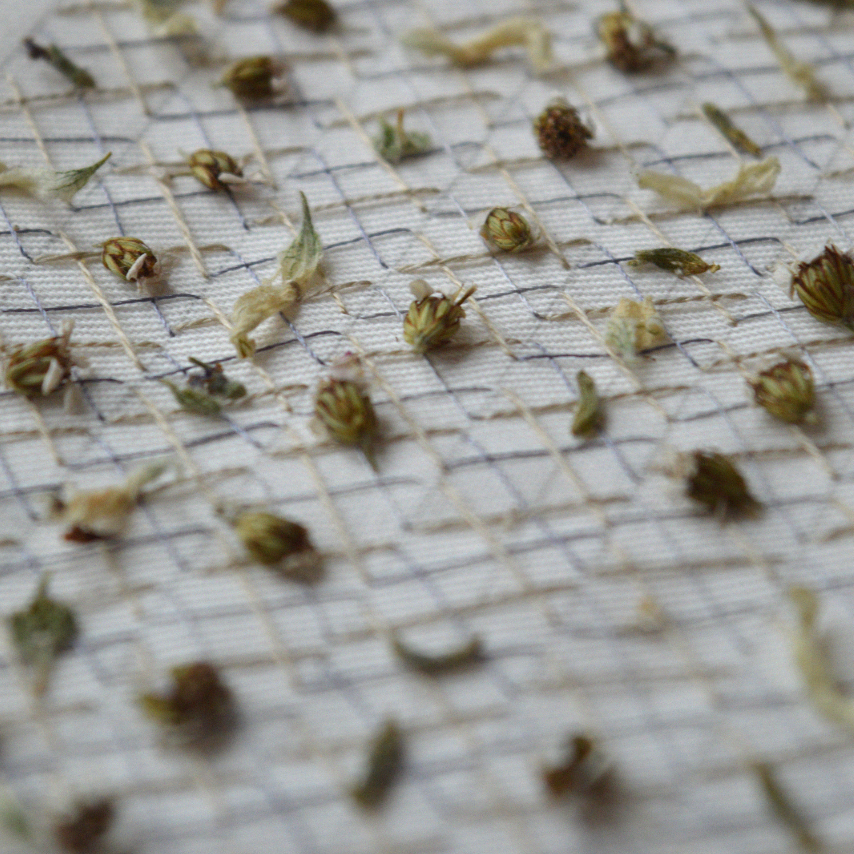 Wednesday 29 April 2026, 5 - 6pm BST, Meet Katerina Knight (Stitching with Nature)