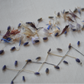 Wednesday 29 April 2026, 5 - 6pm BST, Meet Katerina Knight (Stitching with Nature)