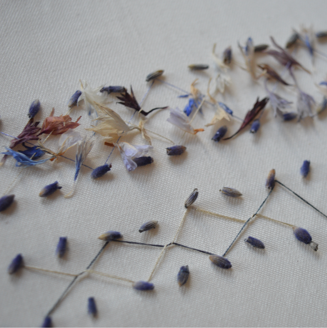 Wednesday 29 April 2026, 5 - 6pm BST, Meet Katerina Knight (Stitching with Nature)