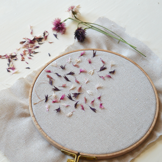 Sunday 21 June & 28 June 2026, 2 - 5pm BST: Stitching with Nature with Katerina Knight