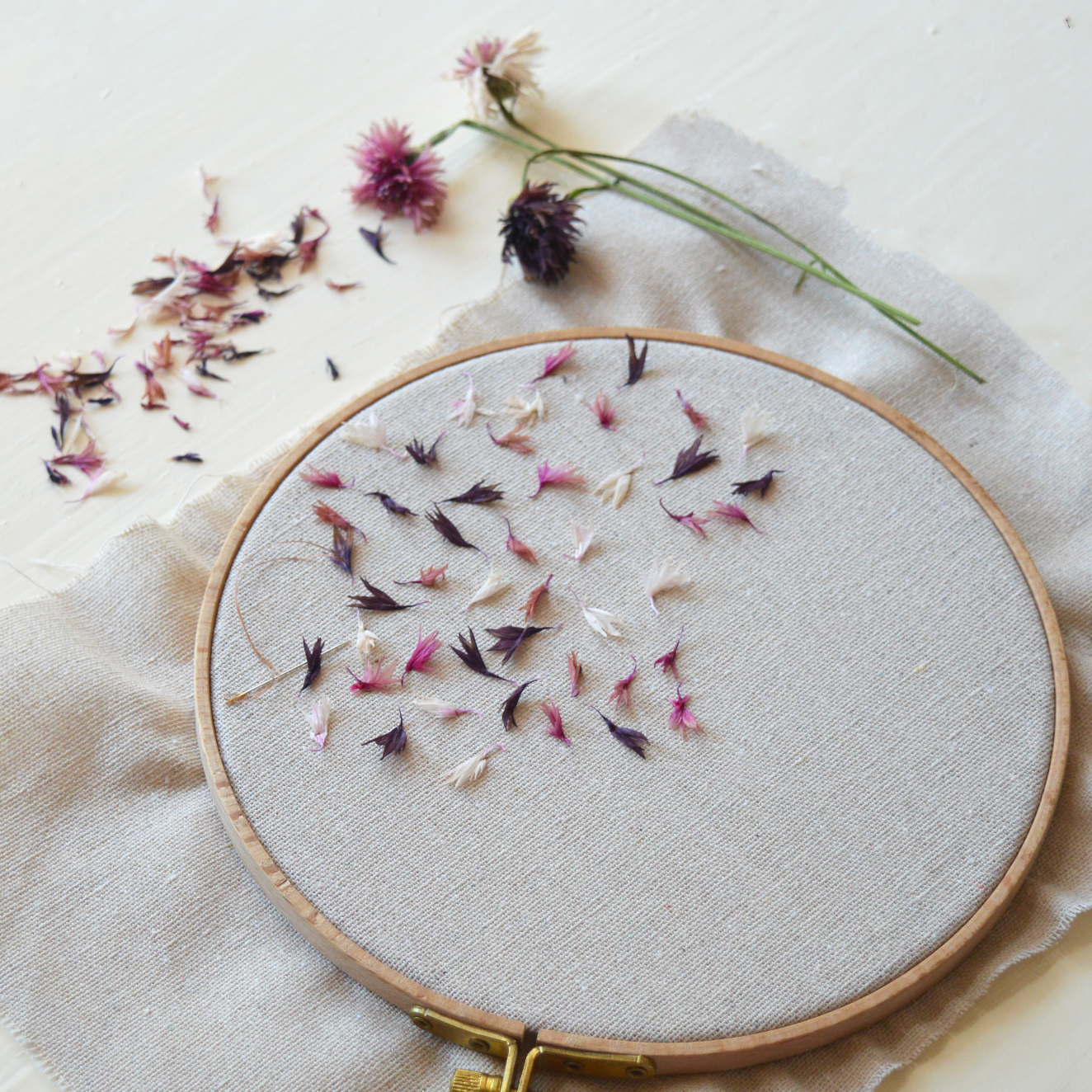 Wednesday 29 April 2026, 5 - 6pm BST, Meet Katerina Knight (Stitching with Nature)