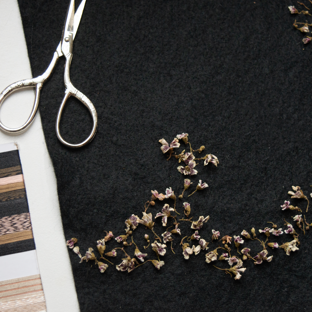 Wednesday 29 April 2026, 5 - 6pm BST, Meet Katerina Knight (Stitching with Nature)