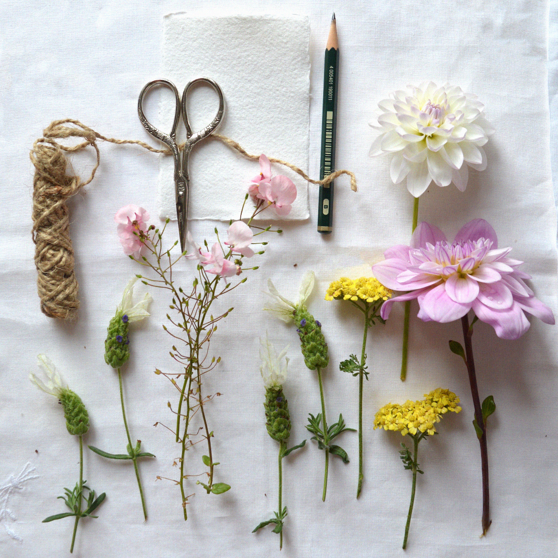 Wednesday 29 April 2026, 5 - 6pm BST, Meet Katerina Knight (Stitching with Nature)