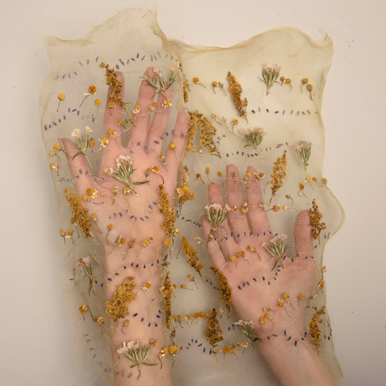 Wednesday 29 April 2026, 5 - 6pm BST, Meet Katerina Knight (Stitching with Nature)