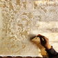 Friday 18 September, 10-5 p.m.: Exhibition and Talk, Wild Silk Ecology of Eastern India – The Story of Tasar
