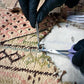 Tuesday 16 September, 11-1 p.m.: Tour: Soteria Conservation Studio with Jessica Burgess - SOLD OUT