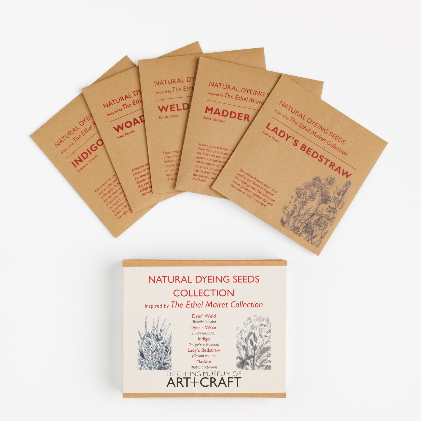 Jenny Ogilvie - Ditchling Museum of Art + Craft