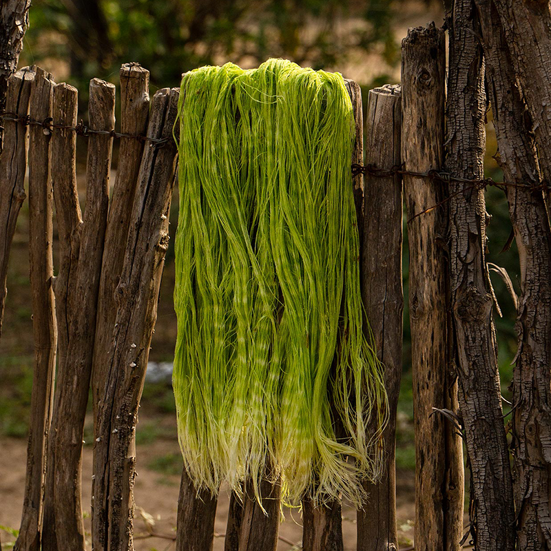 Argentina, Silät, Wichí Chaguar Textile Art