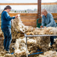 Wednesday 3 September, 6-7 p.m. (BST): Online Talk: Crafting with What the Land Offers with Shannon Nelson of Traceable Textiles
