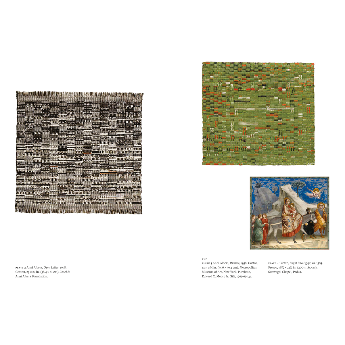 Anni Albers: A Life, Nicholas Fox Weber
