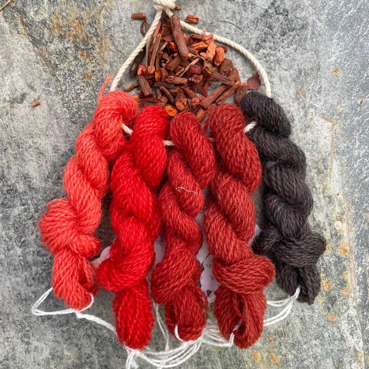 Wednesday 10 September, 10-4 p.m.: Workshop: Creating Vibrant Colour with Natural Dyes with Liz Baltesz