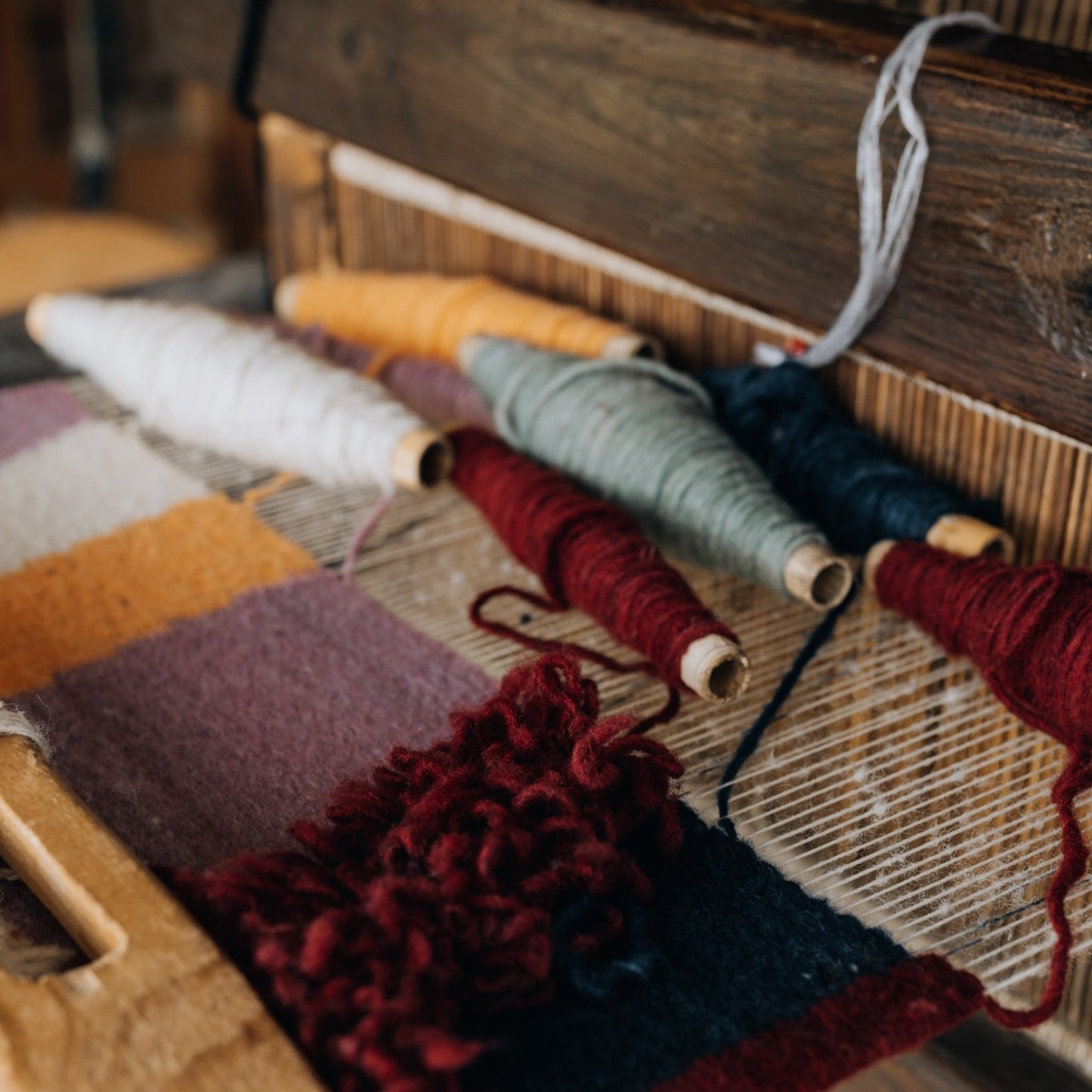 Mexico, Arudeko, Pedal Loom Woven Textiles