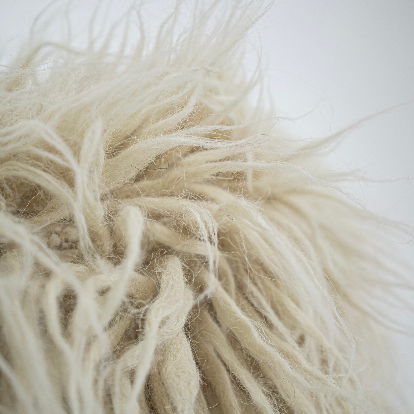 Ukraine, Gushka, Shaggy Bench (Cream) (UK)