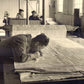 Wednesday 16 September, 10.30-1 p.m.: Talk, Art Deco Designs at the Warner Textile Archive
