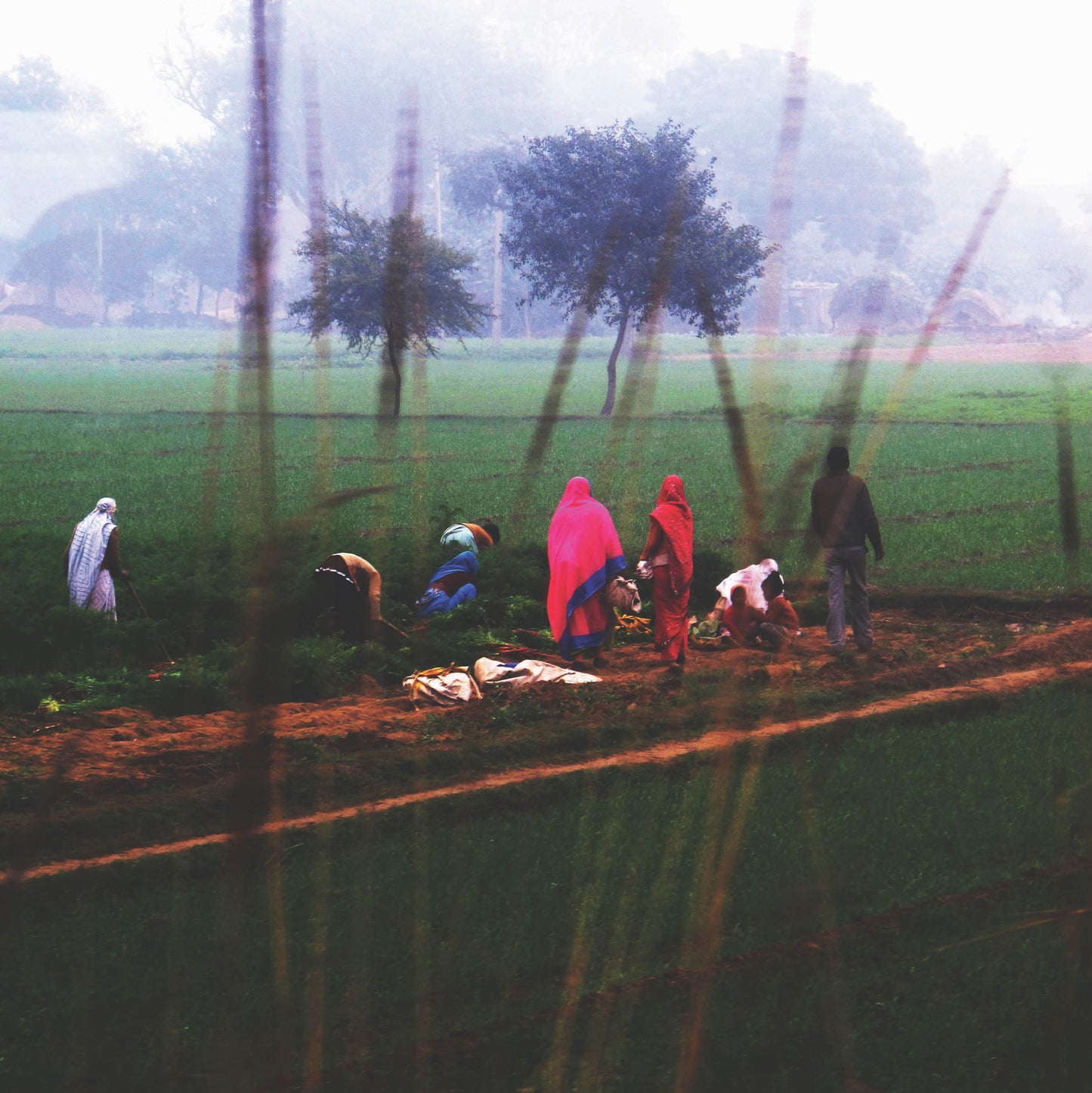 Textile Tour, India