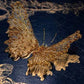 Wednesday 30 September, 11-4.30 p.m.: Tour and Workshop with the Royal School of Needlework