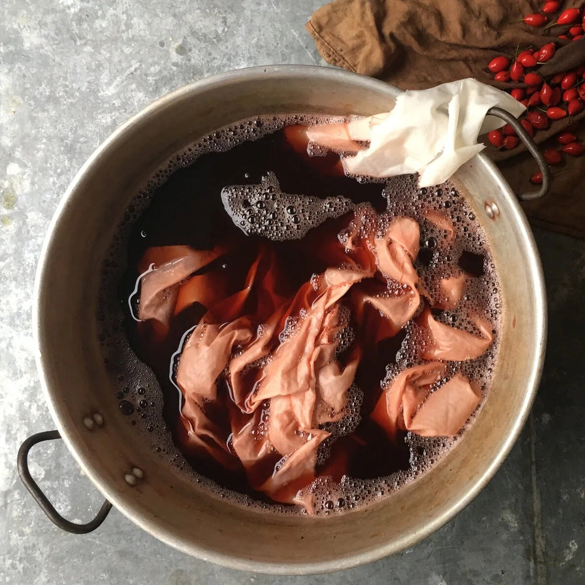 Ros Humphries - The Natural Dyeworks