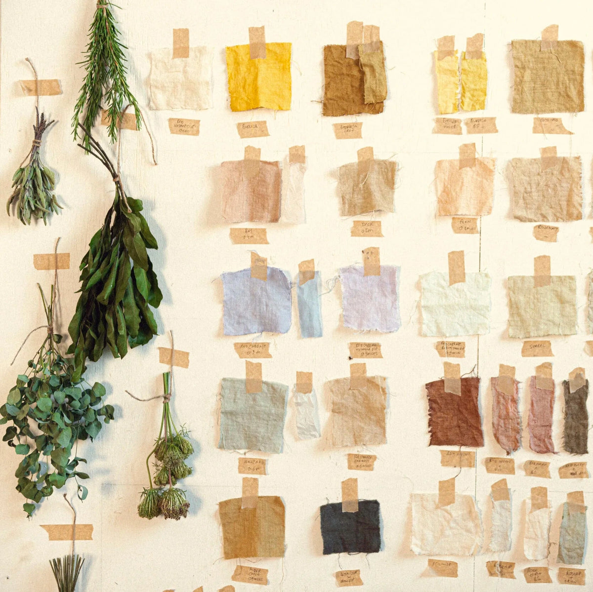 Ros Humphries - The Natural Dyeworks