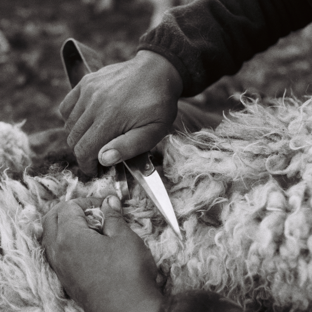 India, We Are KAL, Handwoven Natural Fibre Textiles