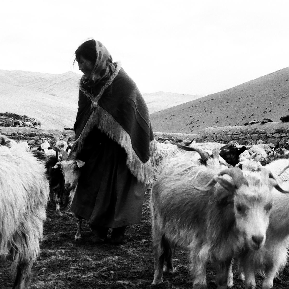 India, We Are KAL, Handwoven Natural Fibre Textiles
