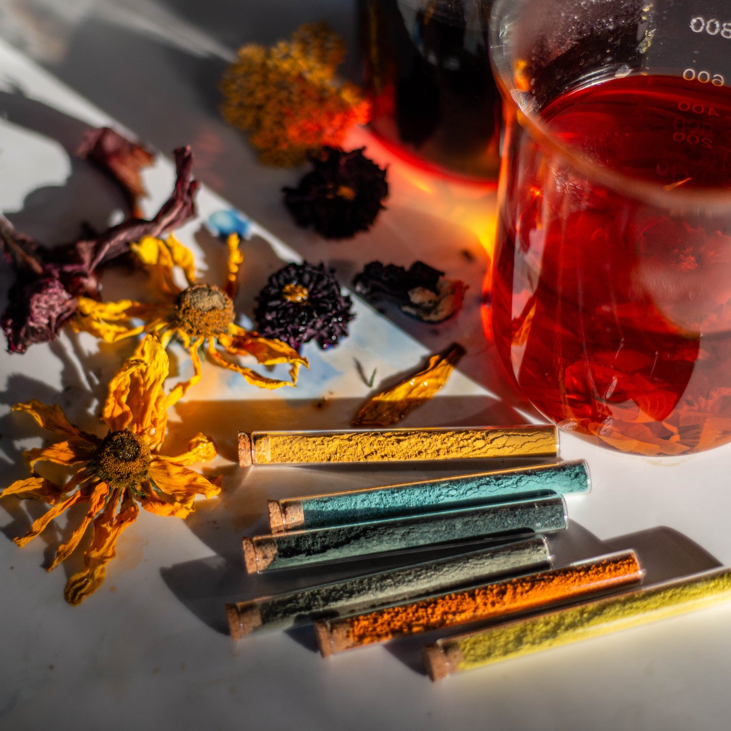 Wednesday 22 April 2026, 5 - 6pm BST: Meet Natalie Stopka (Floral Pigments & Botanical Fabric Painting)