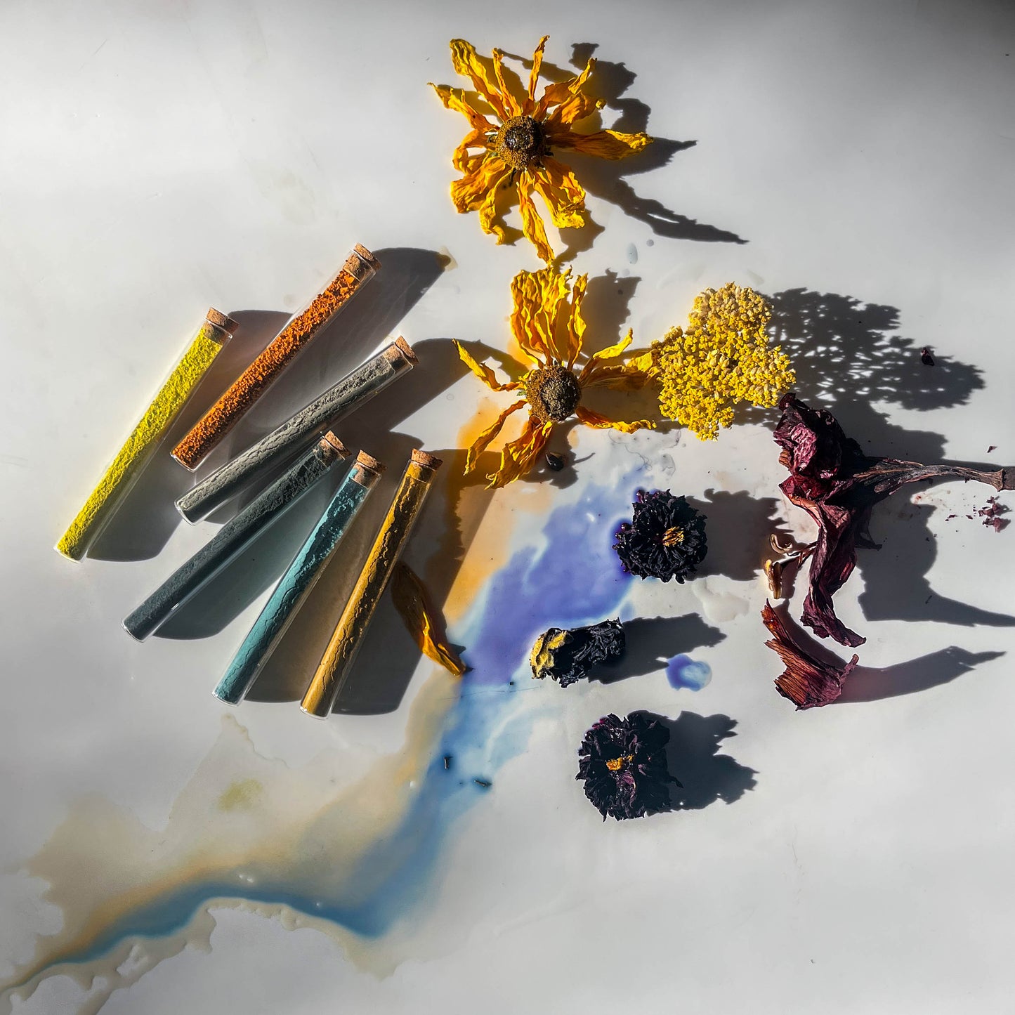 Wednesday 22 April 2026, 5 - 6pm BST: Meet Natalie Stopka (Floral Pigments & Botanical Fabric Painting)