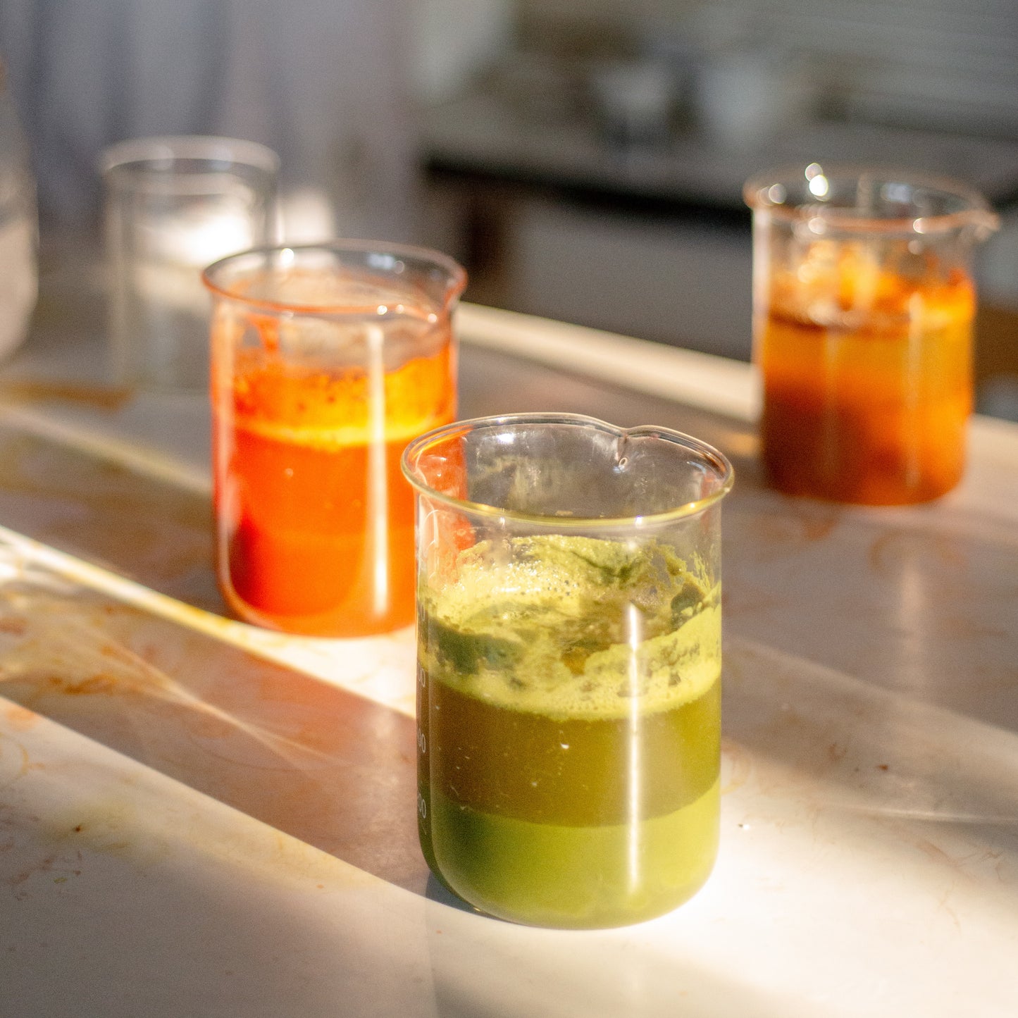 Saturday 6 & 13 June 2026, 2 - 5pm BST: Floral Pigments & Botanical Fabric Painting with Natalie Stopka