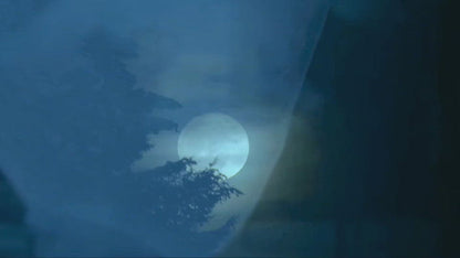 Woven Air with Sonia Ashmore, Mamta Varma and Chinar Farooqui