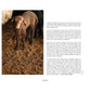 Issue 84 Surface - Selvedge Magazine