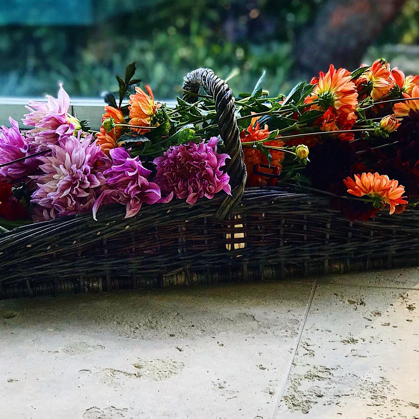 England, Hilary Burns, Long Flower Trug